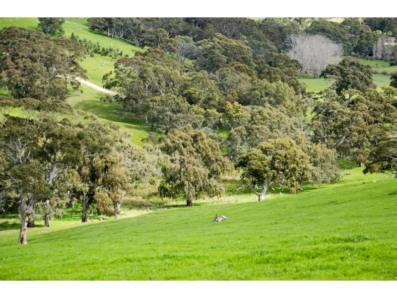 L91 Coomooloo Road, Bald Hills, Yankalilla SA 5203