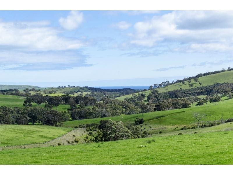L91 Coomooloo Road, Bald Hills, Yankalilla SA 5203