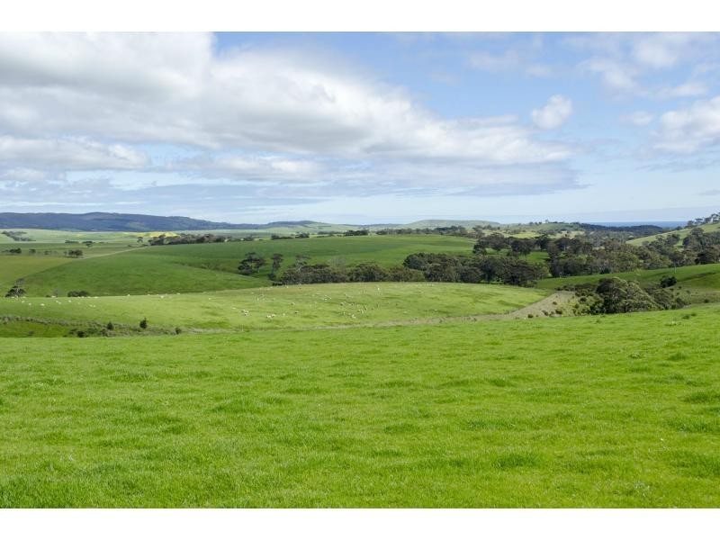 L91 Coomooloo Road, Bald Hills, Yankalilla SA 5203