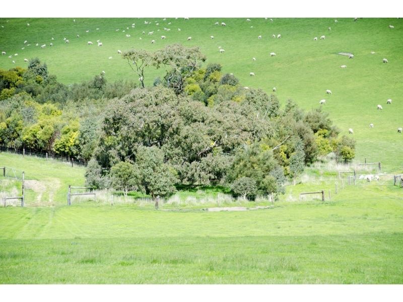 L91 Coomooloo Road, Bald Hills, Yankalilla SA 5203