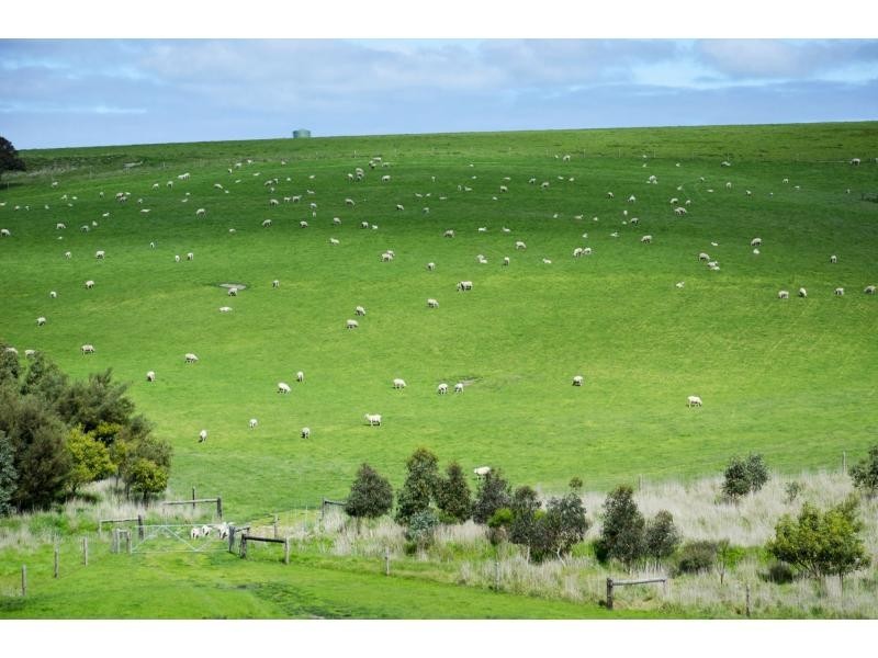 L91 Coomooloo Road, Bald Hills, Yankalilla SA 5203