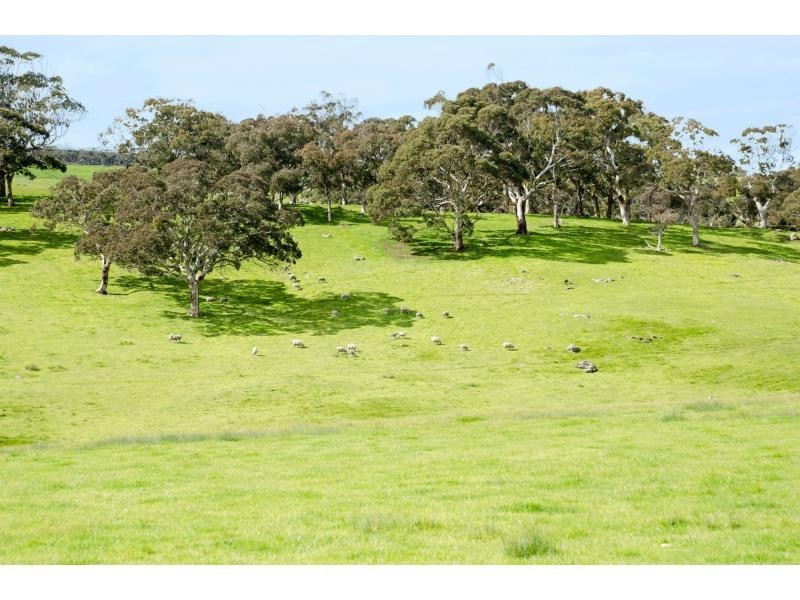 L91 Coomooloo Road, Bald Hills, Yankalilla SA 5203