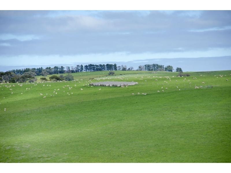 L91 Coomooloo Road, Bald Hills, Yankalilla SA 5203