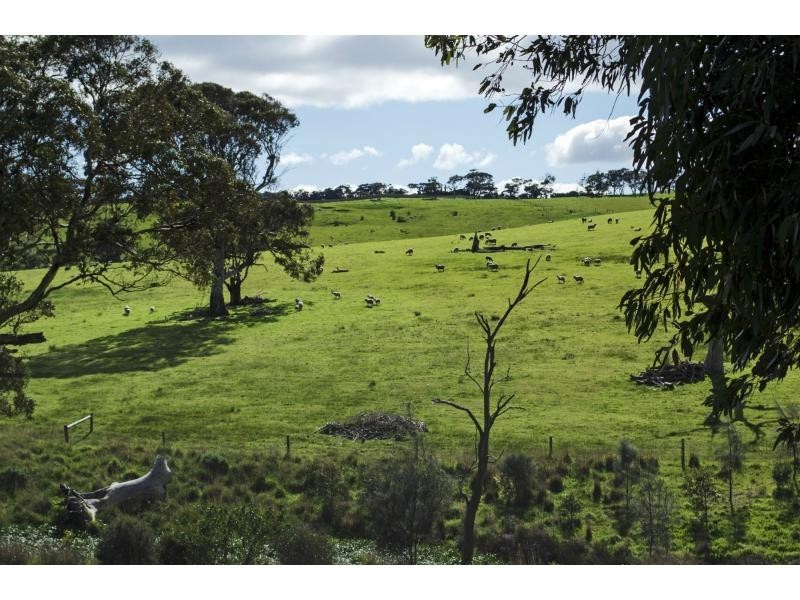 L91 Coomooloo Road, Bald Hills, Yankalilla SA 5203