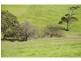 L91 Coomooloo Road, Bald Hills, Yankalilla SA 5203