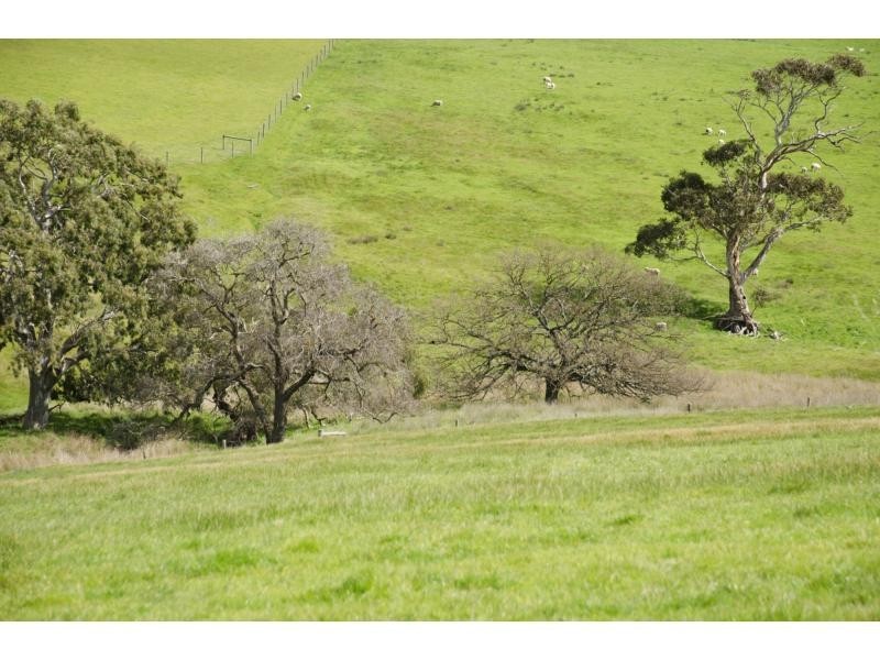 L91 Coomooloo Road, Bald Hills, Yankalilla SA 5203