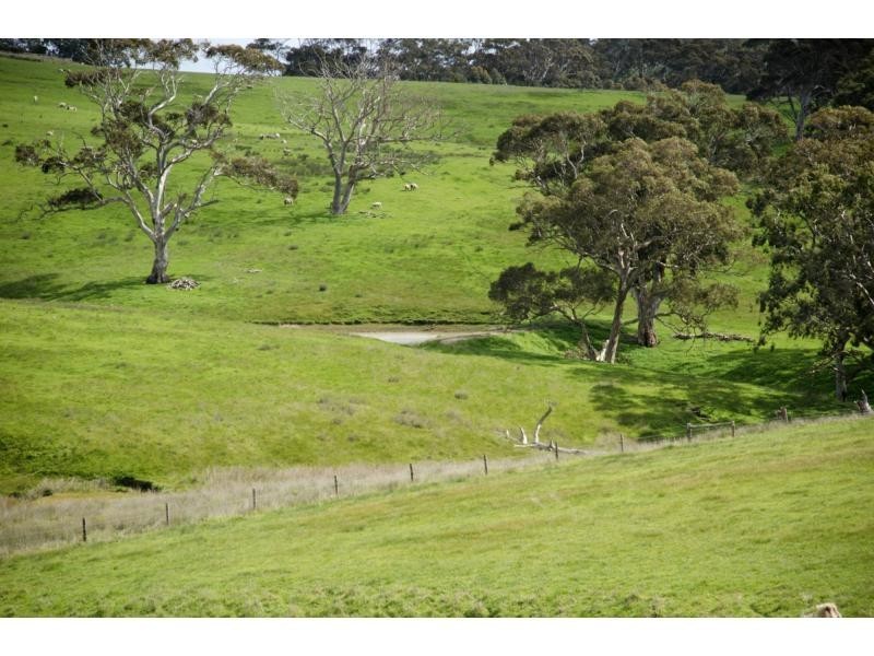 L91 Coomooloo Road, Bald Hills, Yankalilla SA 5203