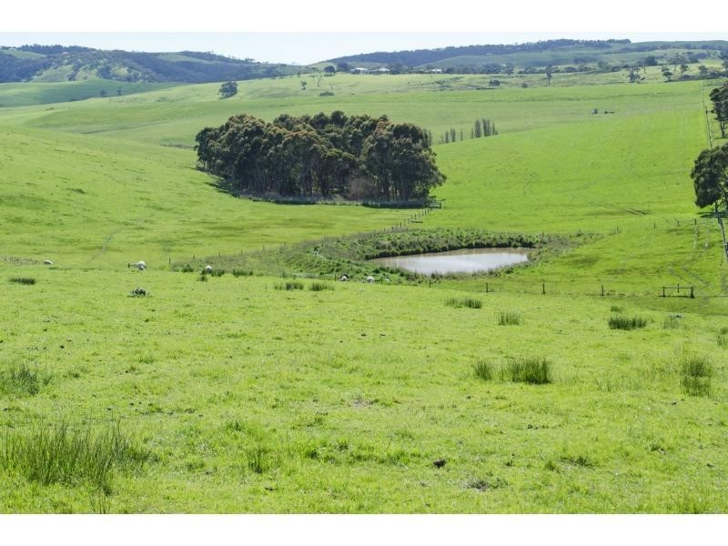 L91 Coomooloo Road, Bald Hills, Yankalilla SA 5203