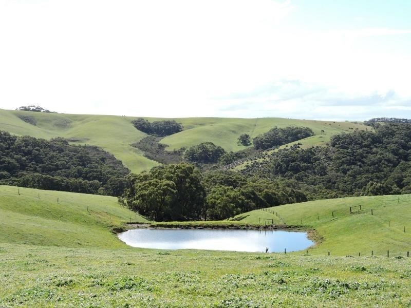 L51 Springmount Road, Hindmarsh Tiers SA 5202