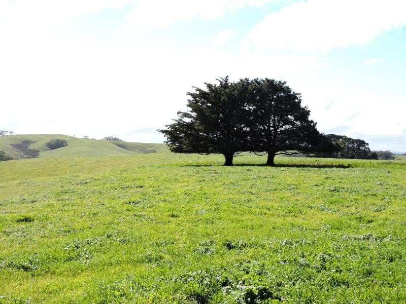 L51 Springmount Road, Hindmarsh Tiers SA 5202