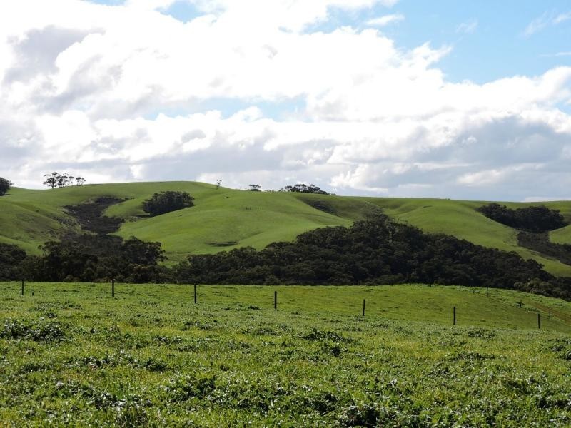 L51 Springmount Road, Hindmarsh Tiers SA 5202