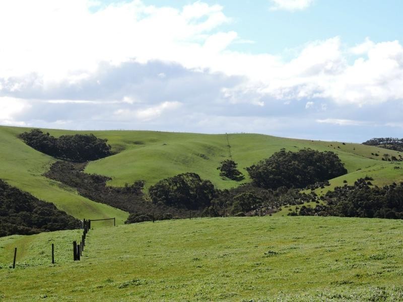 L51 Springmount Road, Hindmarsh Tiers SA 5202