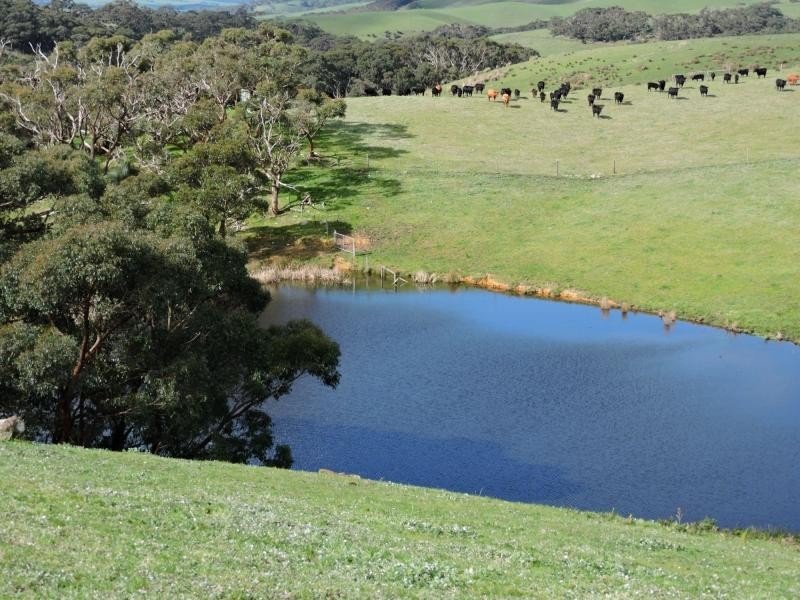 L51 Springmount Road, Hindmarsh Tiers SA 5202