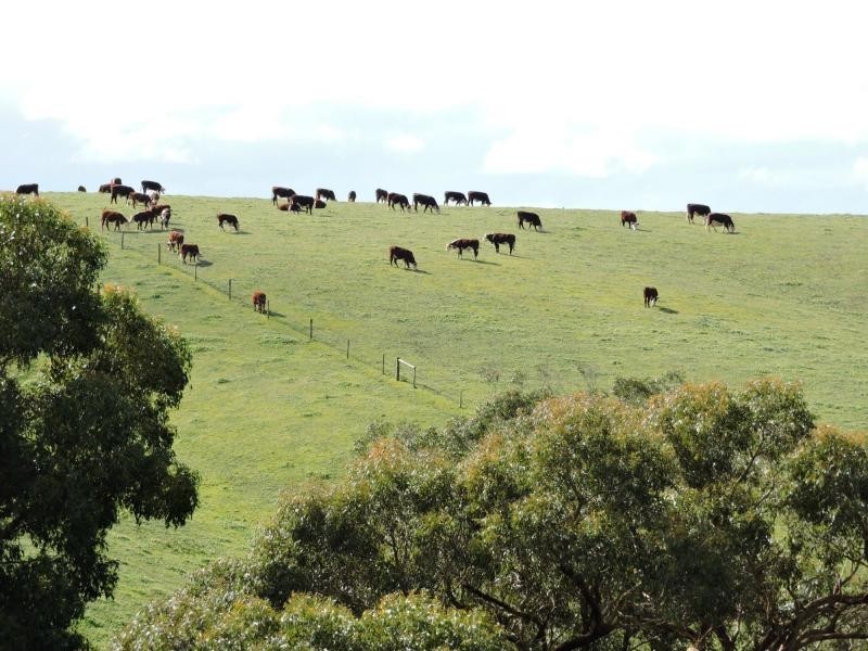 L51 Springmount Road, Hindmarsh Tiers SA 5202