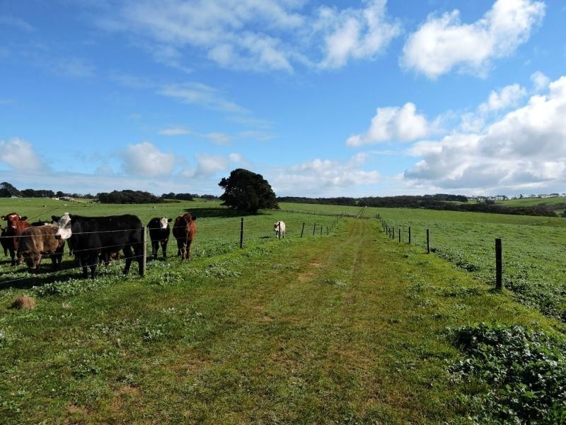 L51 Springmount Road, Hindmarsh Tiers SA 5202