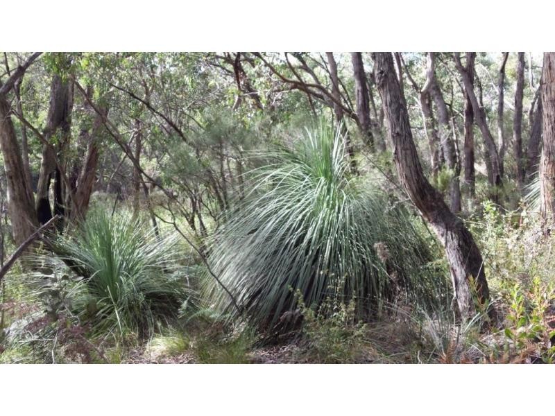 L51 Springmount Road, Hindmarsh Tiers SA 5202