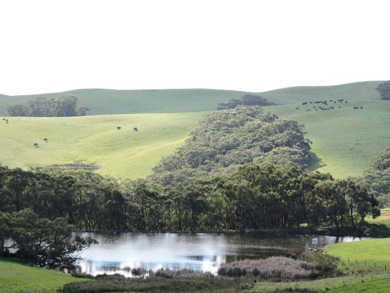 L51 Springmount Road, Hindmarsh Tiers SA 5202