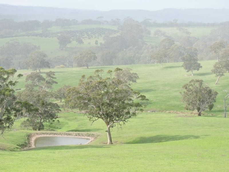 L18 Tonto Road, Hay Flat SA 5204