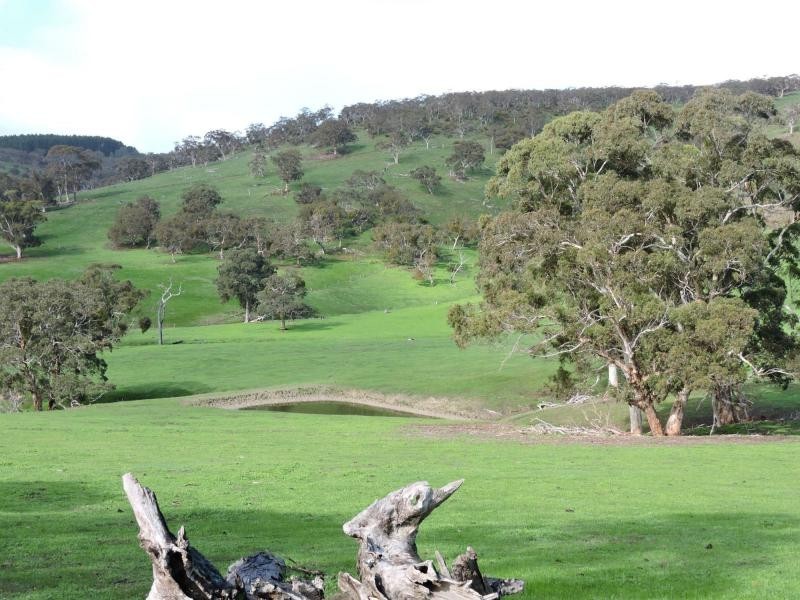 L18 Tonto Road, Hay Flat SA 5204