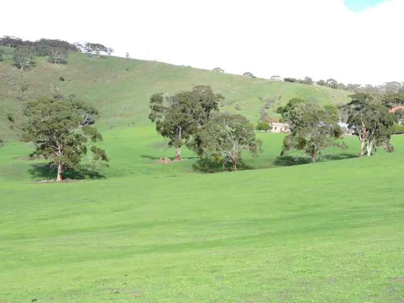 L18 Tonto Road, Hay Flat SA 5204