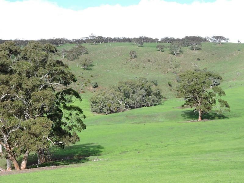 L18 Tonto Road, Hay Flat SA 5204