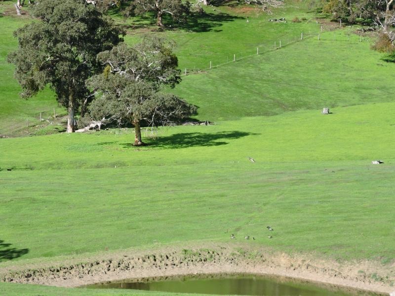 L18 Tonto Road, Hay Flat SA 5204