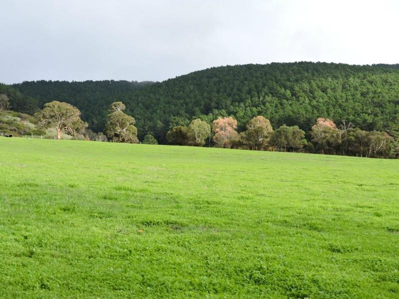 L8 Hay Flat Road, Hay Flat SA 5204