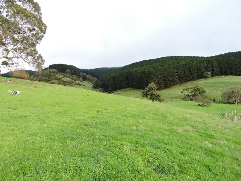 L8 Hay Flat Road, Hay Flat SA 5204