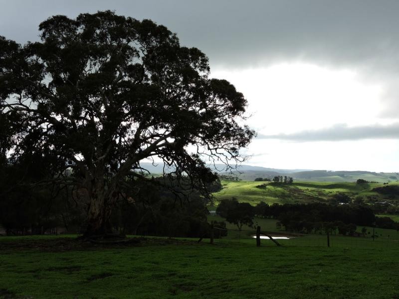 L8 Hay Flat Road, Hay Flat SA 5204