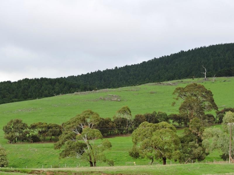 L8 Hay Flat Road, Hay Flat SA 5204