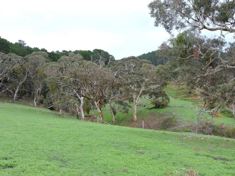 L8 Hay Flat Road, Hay Flat SA 5204