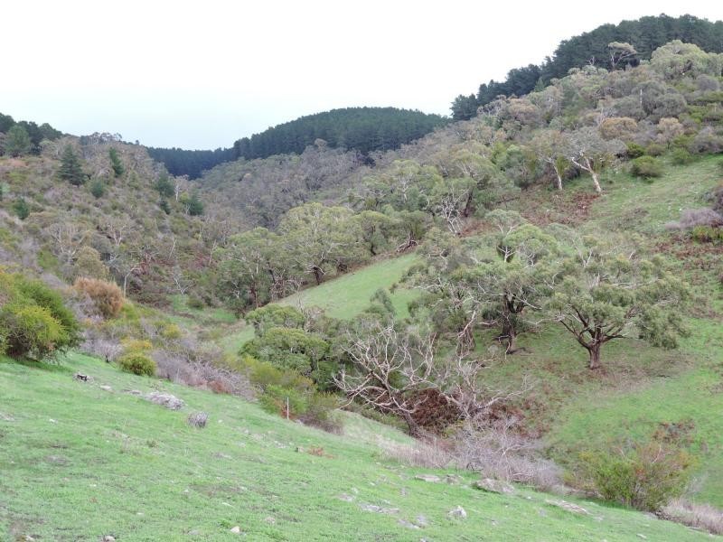 L8 Hay Flat Road, Hay Flat SA 5204