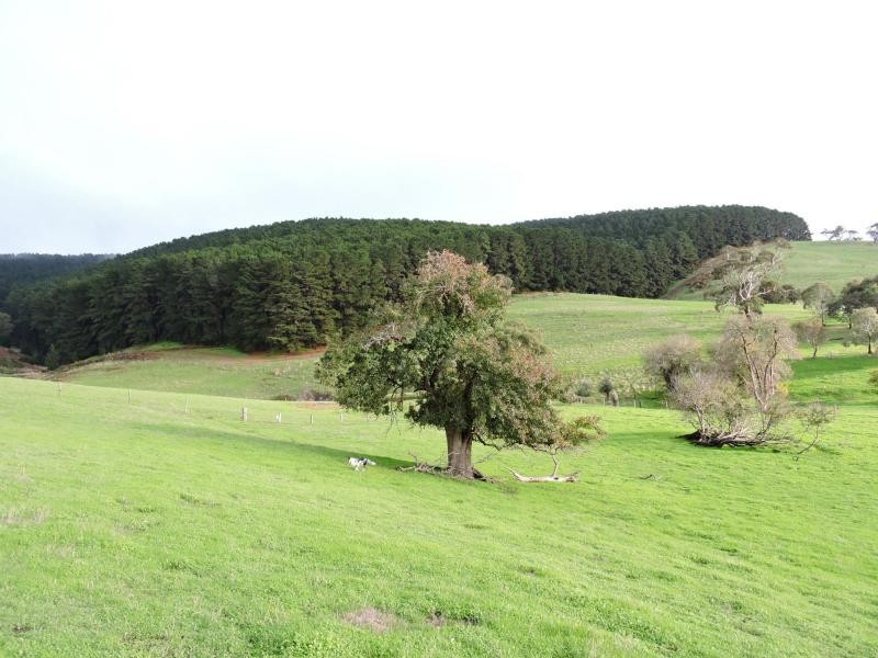 L8 Hay Flat Road, Hay Flat SA 5204