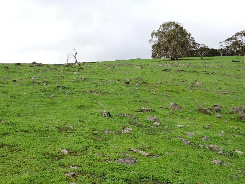 L8 Hay Flat Road, Hay Flat SA 5204