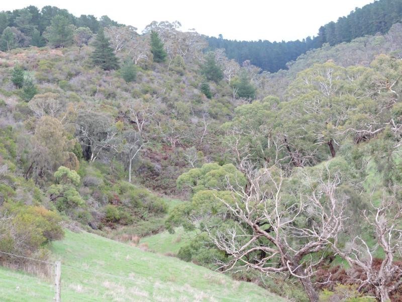 L8 Hay Flat Road, Hay Flat SA 5204