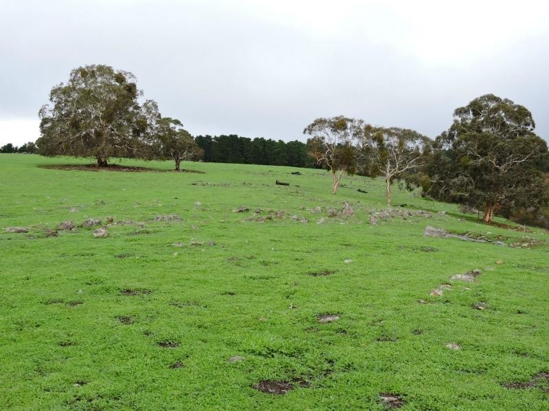 L8 Hay Flat Road, Hay Flat SA 5204