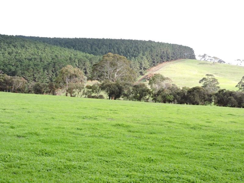 L8 Hay Flat Road, Hay Flat SA 5204