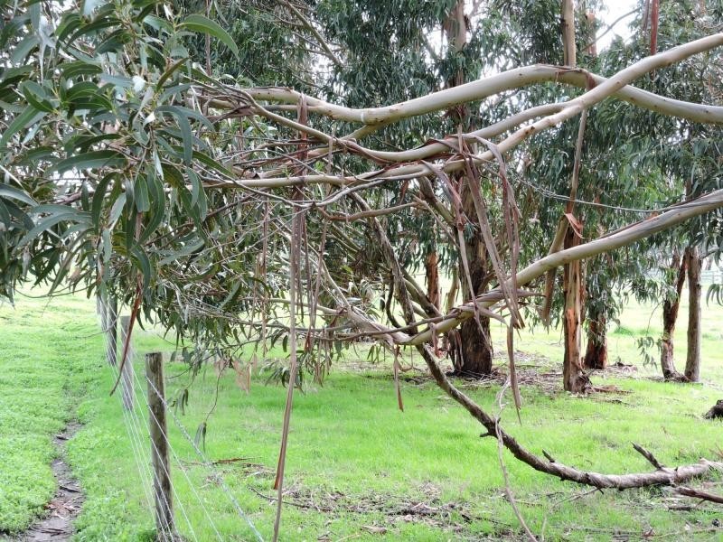 L8 Hay Flat Road, Hay Flat SA 5204