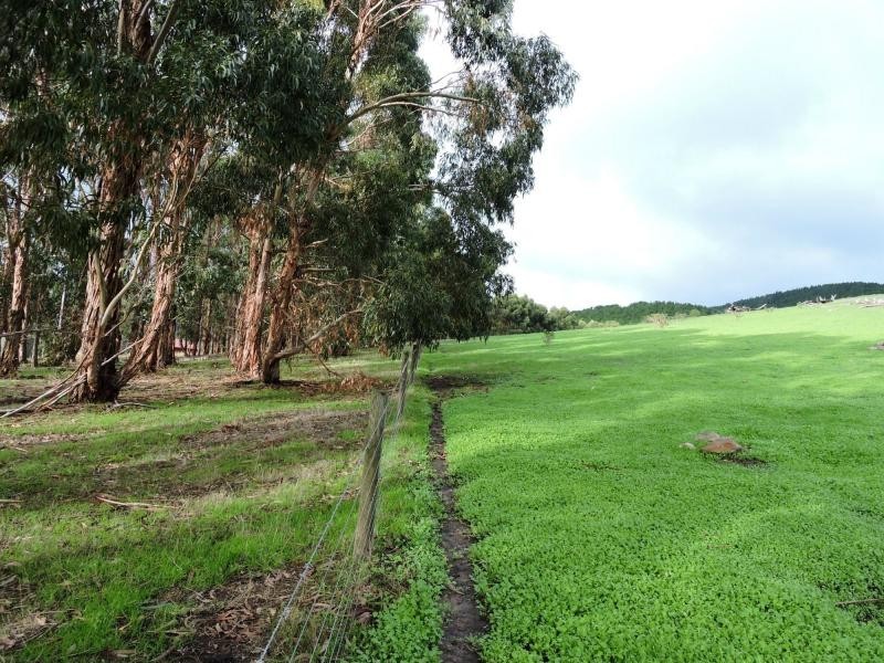 L8 Hay Flat Road, Hay Flat SA 5204