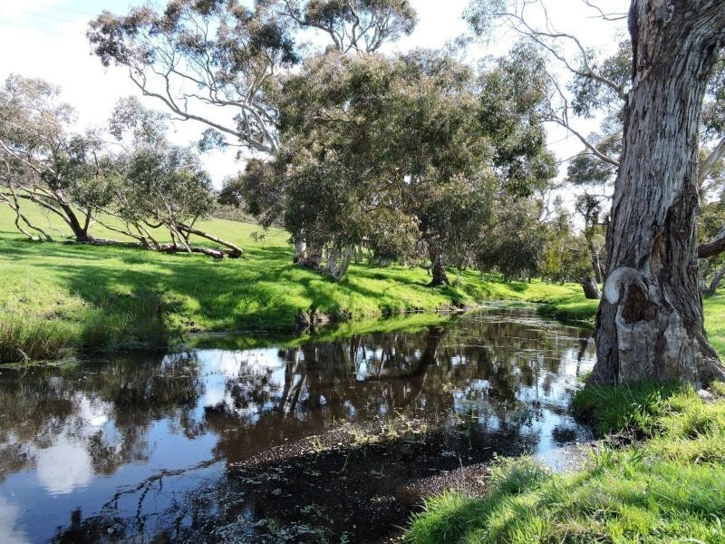 532 Goolwa Road, Mosquito Hill, Mount Compass SA 5210