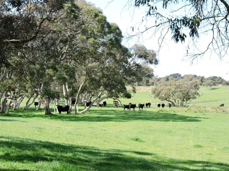 532 Goolwa Road, Mosquito Hill, Mount Compass SA 5210