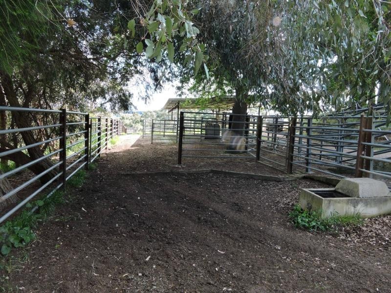 532 Goolwa Road, Mosquito Hill, Mount Compass SA 5210