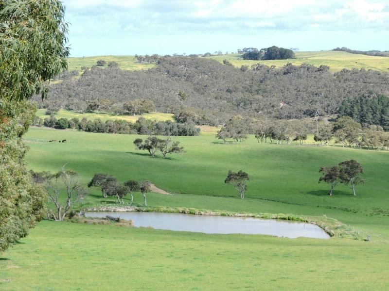 532 Goolwa Road, Mosquito Hill, Mount Compass SA 5210