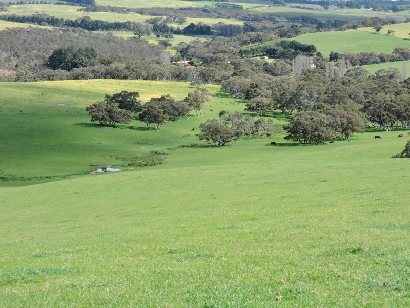 532 Goolwa Road, Mosquito Hill, Mount Compass SA 5210