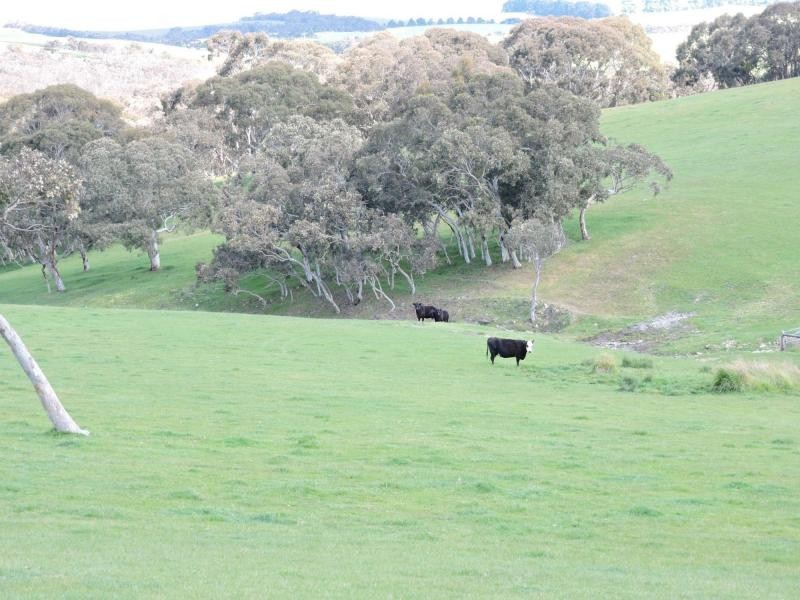 532 Goolwa Road, Mosquito Hill, Mount Compass SA 5210