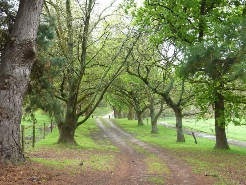 Willow Creek SA 5211