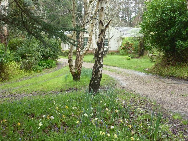 Willow Creek SA 5211