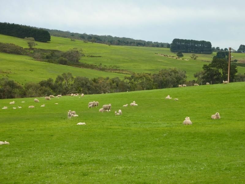 Willow Creek SA 5211