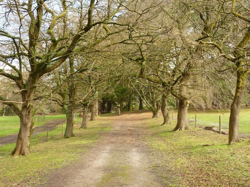 Willow Creek SA 5211