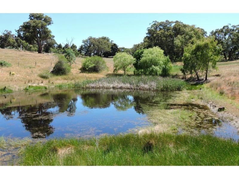 Willunga Hill SA 5172